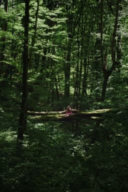 Kétoldali közelítés