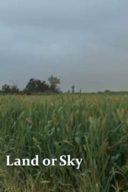 Land or Sky