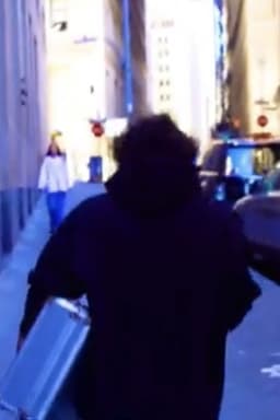 The Fish of Wall Street