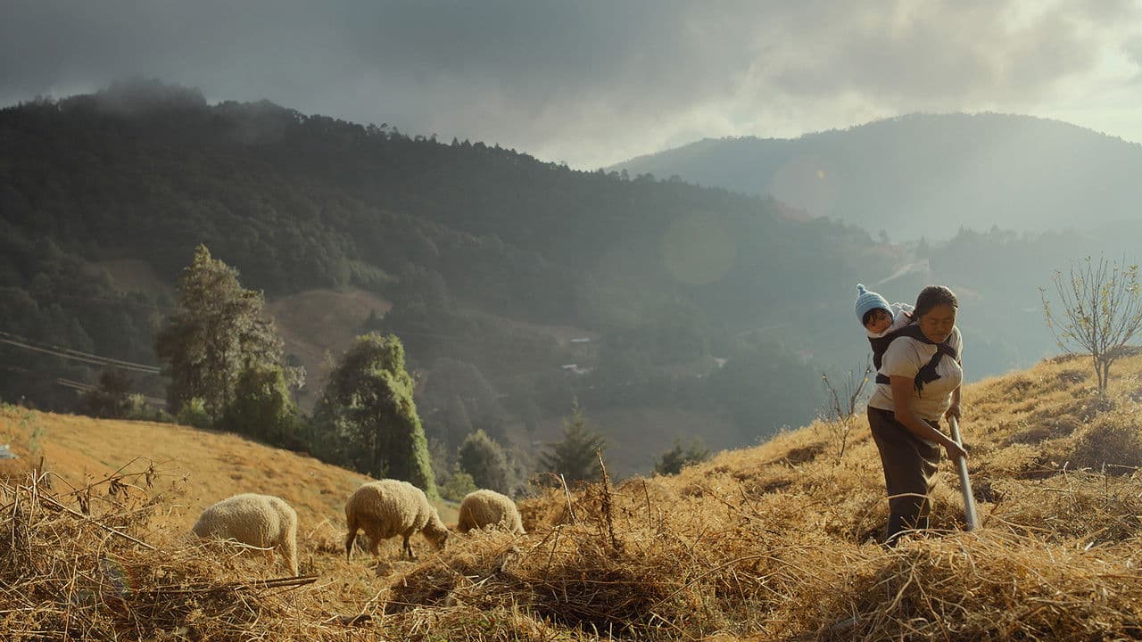 Oc ni temiki (Sigo soñando)