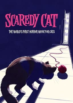 Scaredy Cat