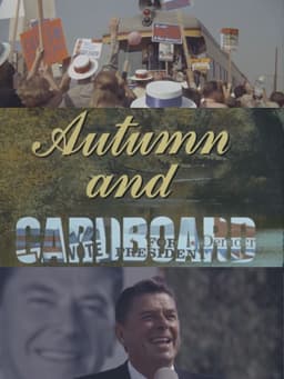 Autumn and Cardboard