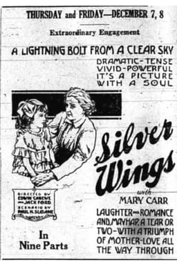 Silver Wings