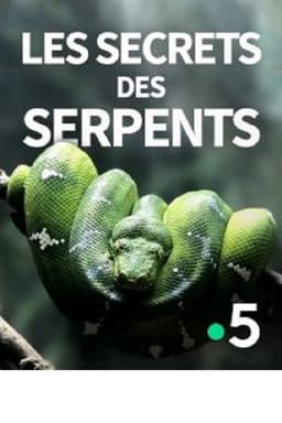 The Secrets of the Snakes