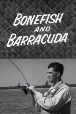 Bonefish and Barracuda