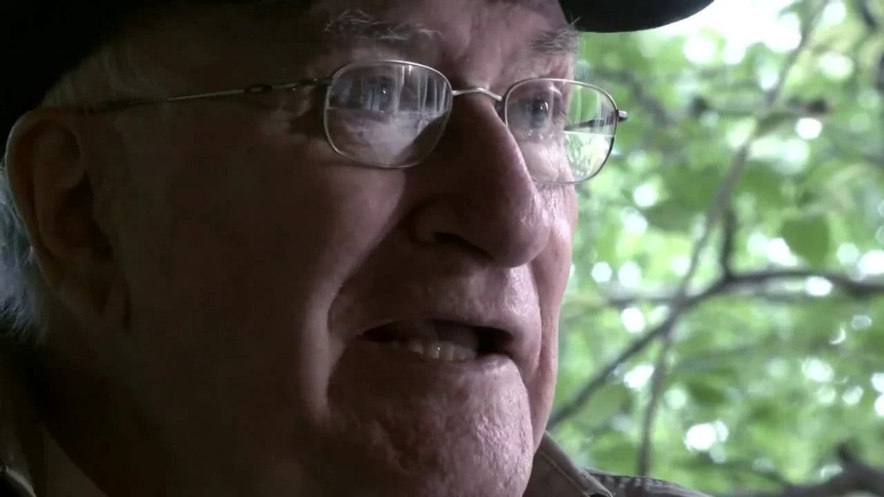 Vicente Aranda, 50 años de cine