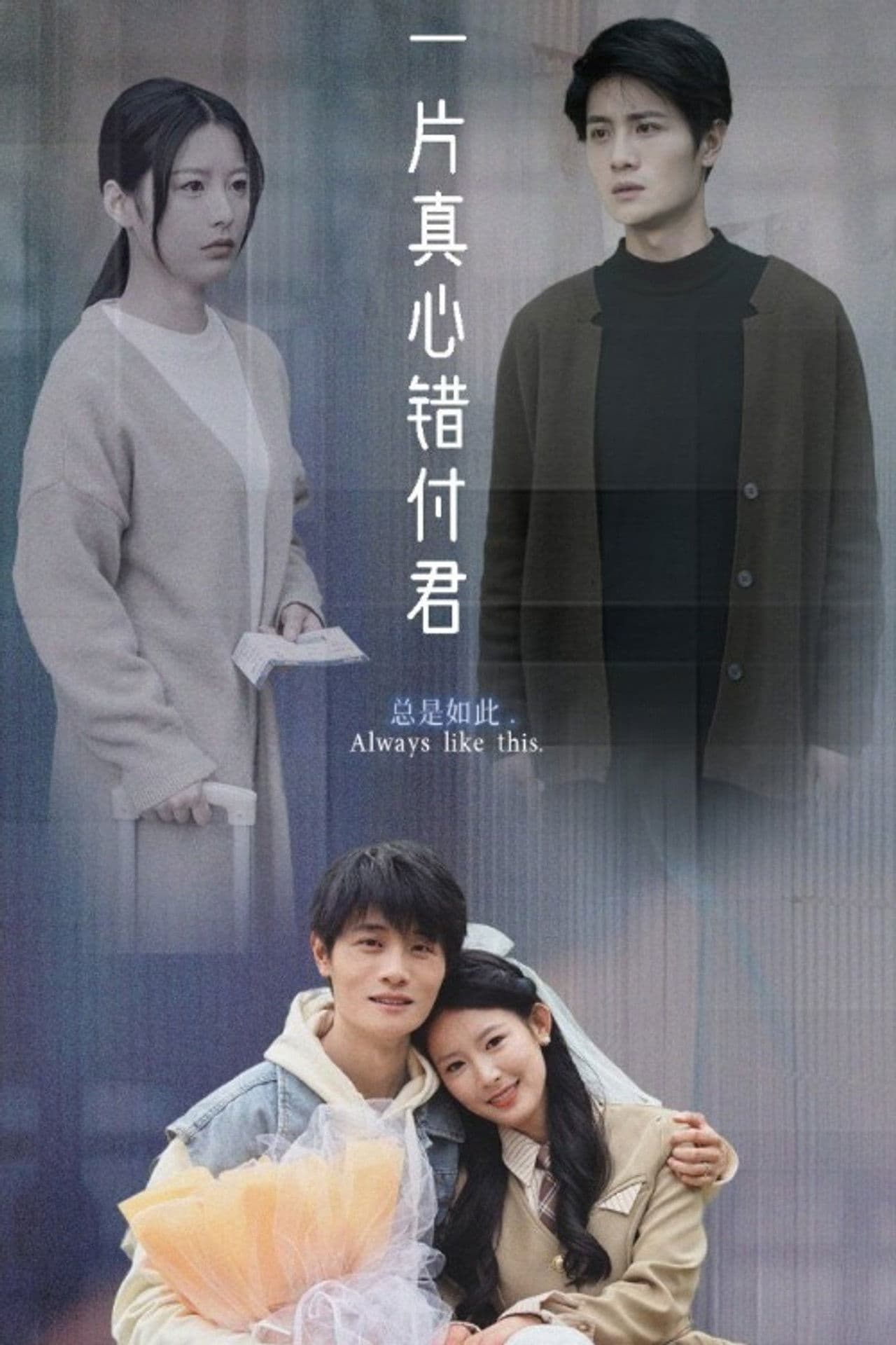 一片真心错付君