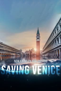 Saving Venice