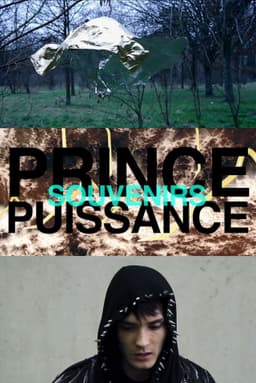 Prince, puissance, souvenirs