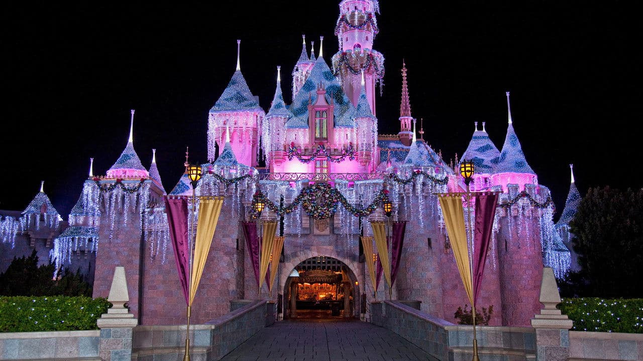 The Wonderful World of Disney: Magical Holiday Celebration