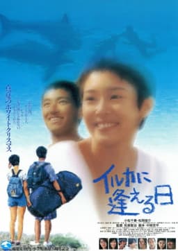 イルカに逢える日