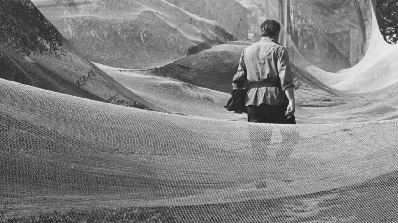 June, the Beginning of Summer