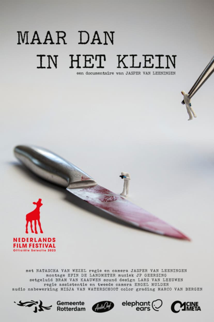 Maar dan in het klein