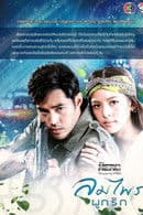 The Forest's Wind Binding Love