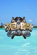 Law of the Jungle in Caribbean/Maya Jungle