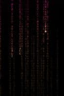 A Special Presentation