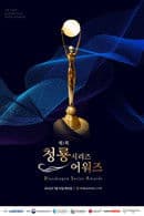 1st Blue Dragon Series Awards