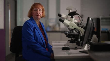 Catching the Birmingham Spree Killer