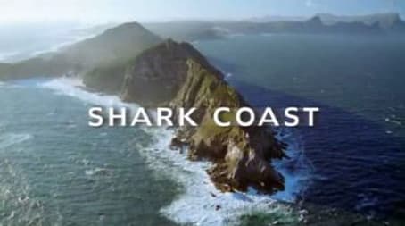 Shark Coast