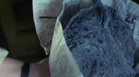 The Living Stones (1)