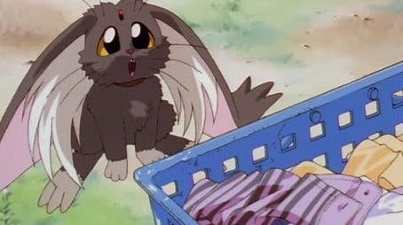 The Eye of the Destroyer