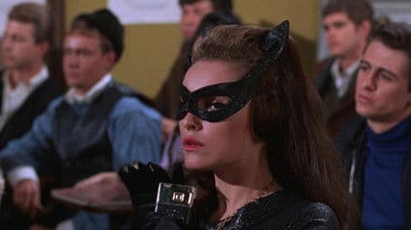 Catwoman Goes to College