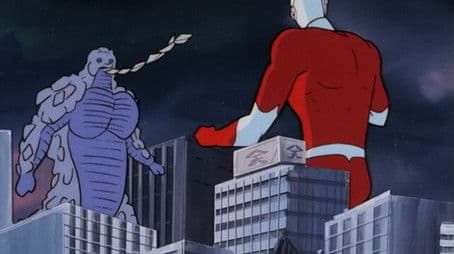 Pig Was Holding a Bomb