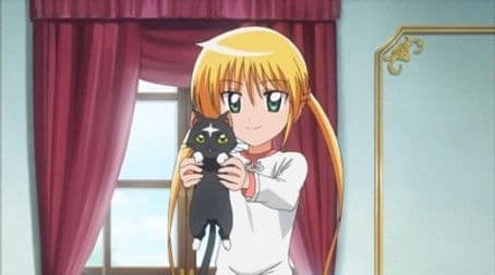 Shiranui Has Arrived