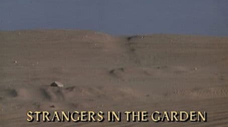 Strangers in the Garden