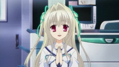 Cherry Blossoms Bloom