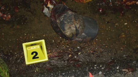 Home Ground and In the Shadows