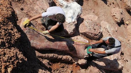 Raising the Dinosaur Giant