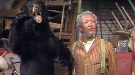 Blood is Thicker Than Junk