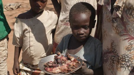 Crisis in Sudan: The Fight for Survival