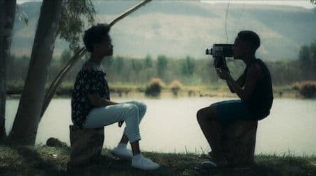 Something in the Tree