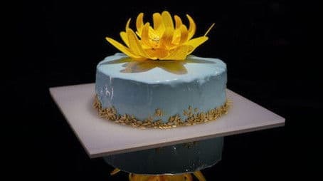 Bittersweet Surprises