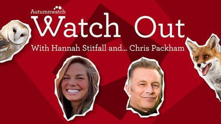Watch Out with Hannah Stitfall and Chris Packham