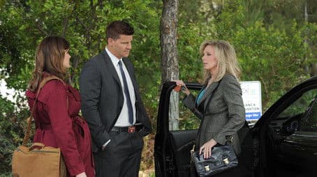 The Prince in the Plastic