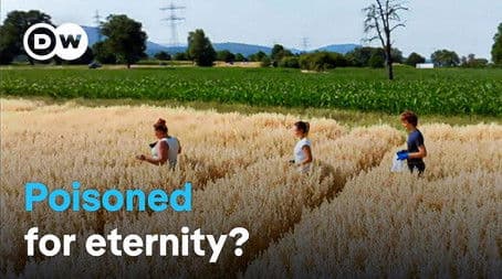 Toxic and tenacious - How "forever chemicals” are damaging our health