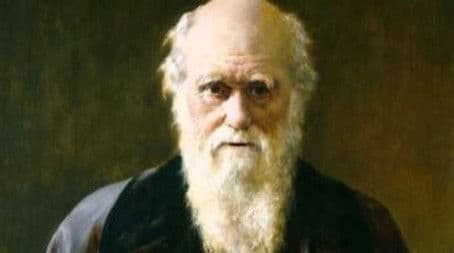 Epic Rap Battles of History News.