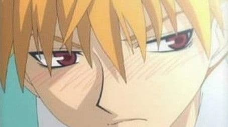 The Source Of Cheer Can Be Affected By Colds, Too!