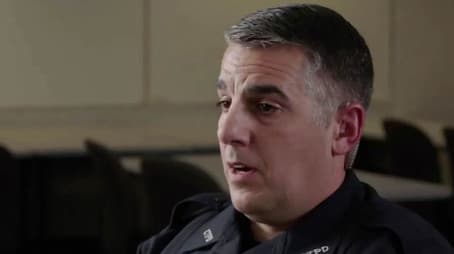 The Back of the Shed