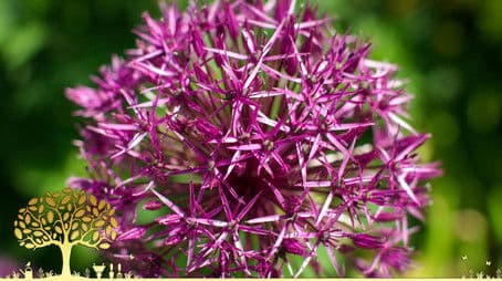 Winter Specials: Episode 1