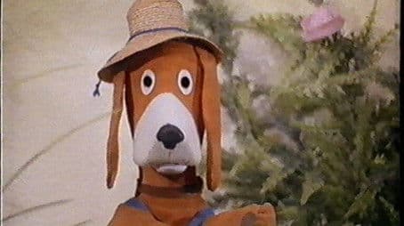 Keep This Garden Tidy