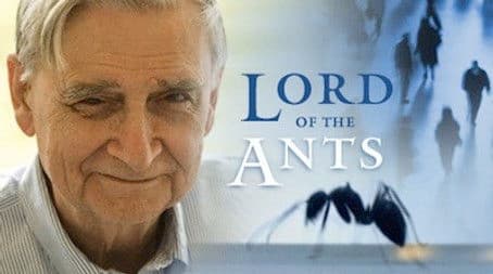 Lord of the Ants