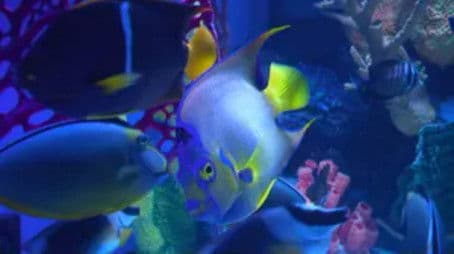 Brace Yourself for Employee of the Month