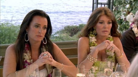 A Day Late, an Apology Short