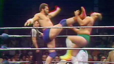 WWF Championship Wrestling - Nov. 29, 1980