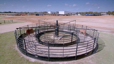 Leather Overnight Bags; Horse Exercisers; Air Hockey Tables; Copper Sculptures