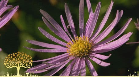 Compilations 2023: Episode 1